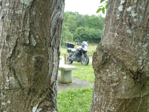IMG_20220630_122744