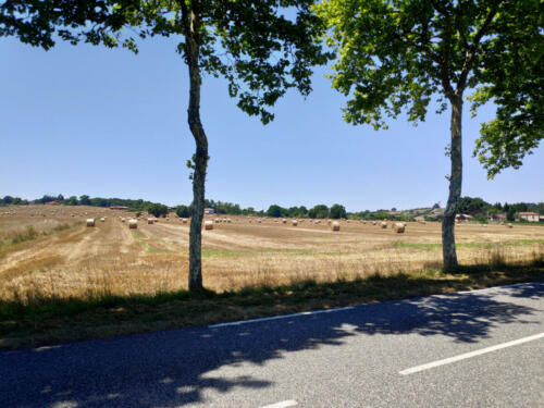 IMG_20220712_144949_1